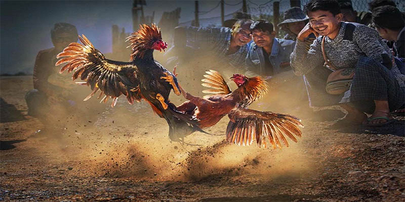 hello88 vina đăng nhập roulette số 1
