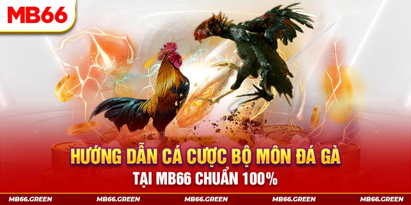 hello88 vina xổ số bình định