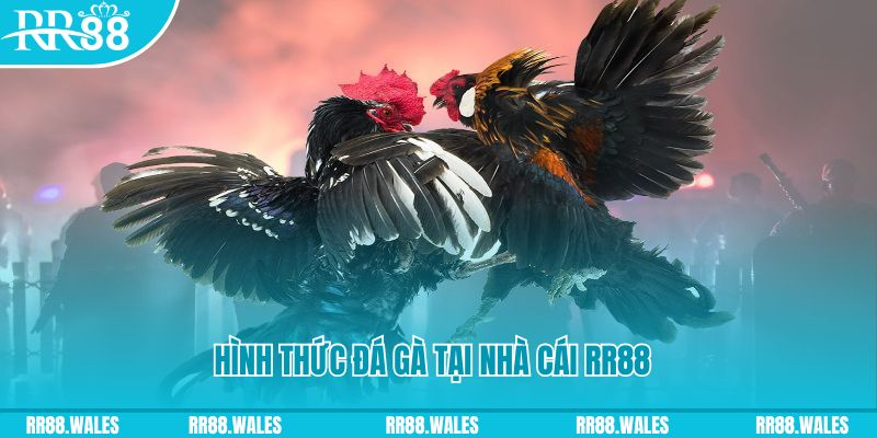 hello88 vina PS Điện Tử