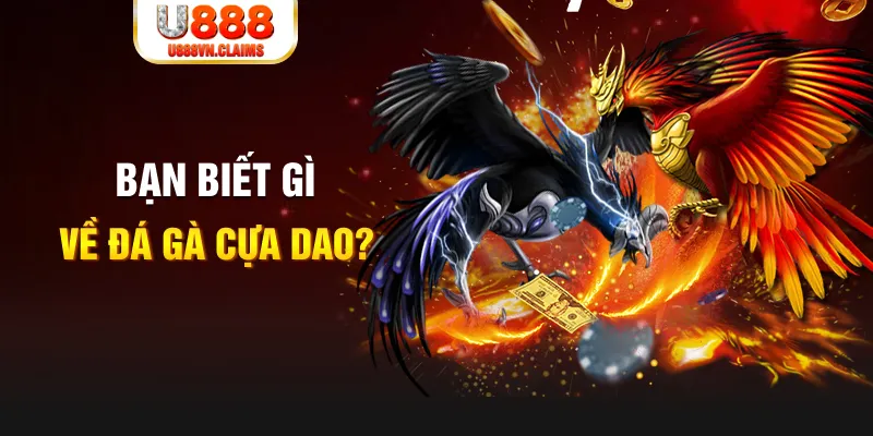 hello88 vina xổ số kiến thiết
