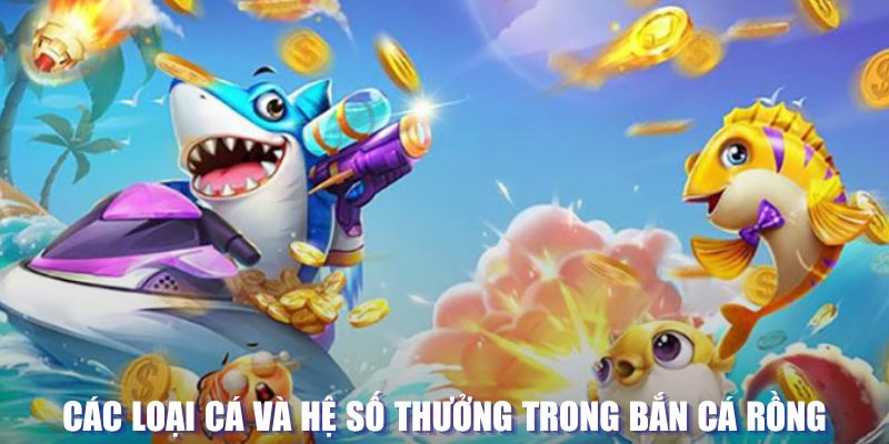 hello88 vina loi game dot kich ket noi may chu that bai