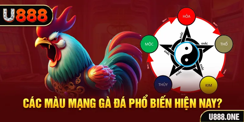 hello88 vina đăng nhập mậu binh