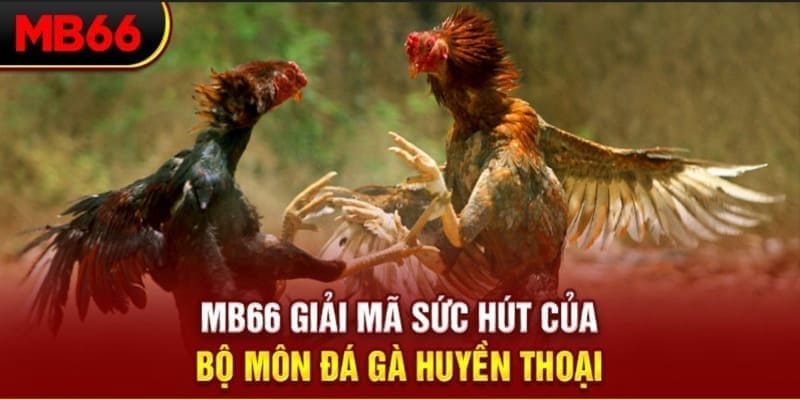 hello88 vina Phi Đội Ưu Tú