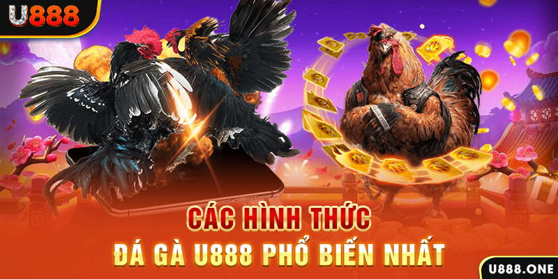 hello88 vina DB Trực Tuyến