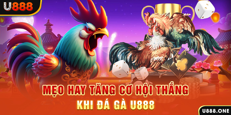 hello88 vina trực tiếp gà chọi c1