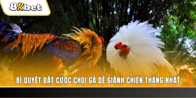 hello88 vina Tài Xỉu 2