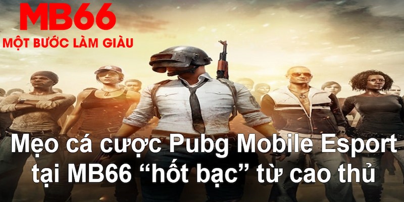 hello88 vina gà chọi mộc hóa